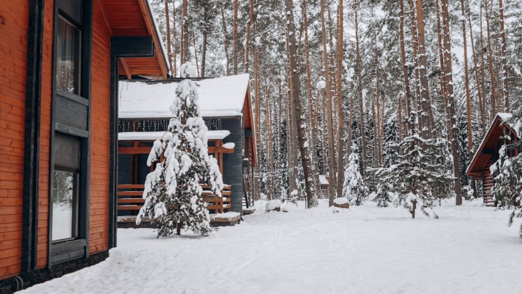pexels-photo-6530841 Winter Landscape